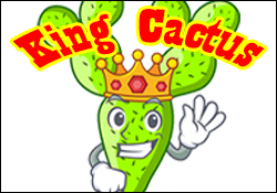 King Cactus Hangman Game with Spelling Words